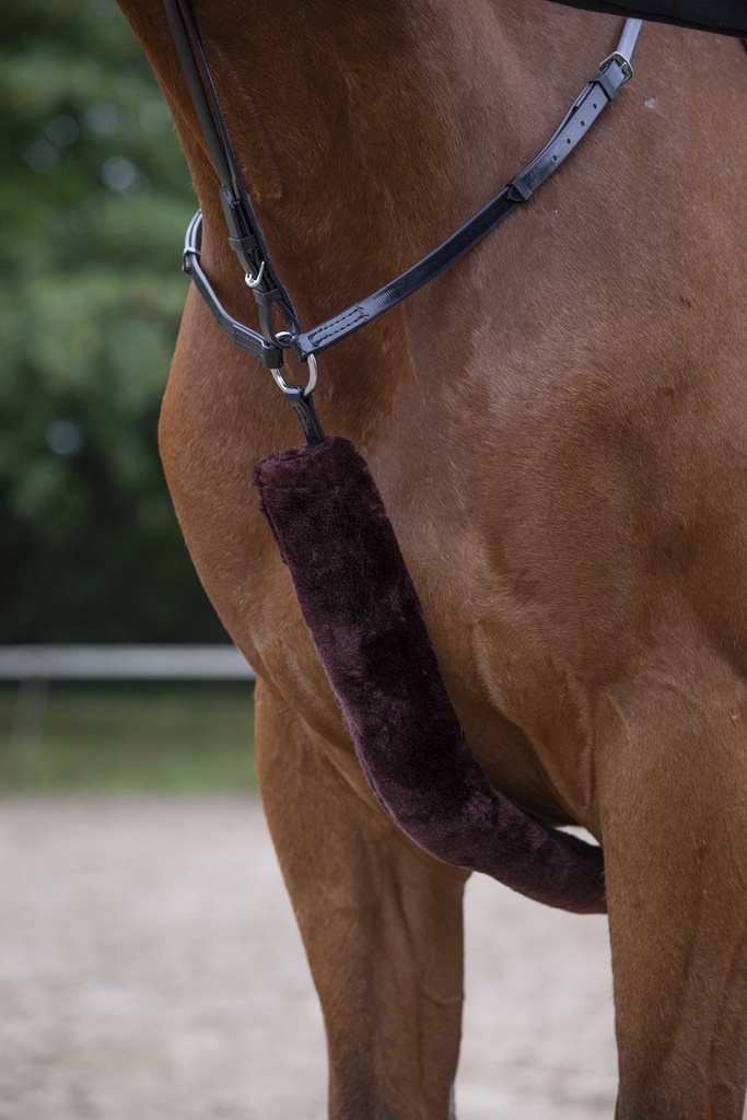 Fourreau de collier de chasse EQUITHÈME - Teddy - vue 1
