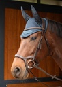 Bonnet chasse mouches Airmesh