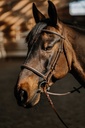 Bridon NORTON - Hunter soft - vue 1