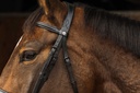 Bridon NORTON PRO "Dark" - vue 3