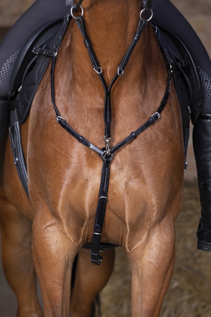 Collier de chasse ERIC THOMAS HYBRID - vue 3