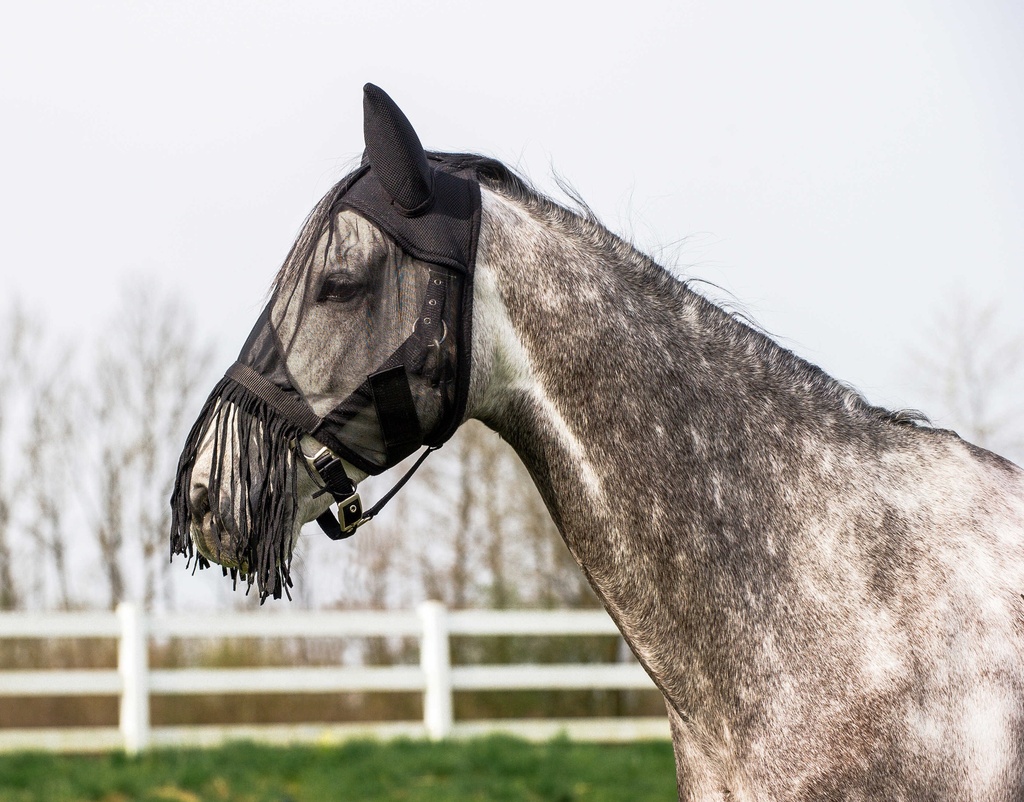 RIDING WORLD Masque anti-mouches - Franges - vue 1