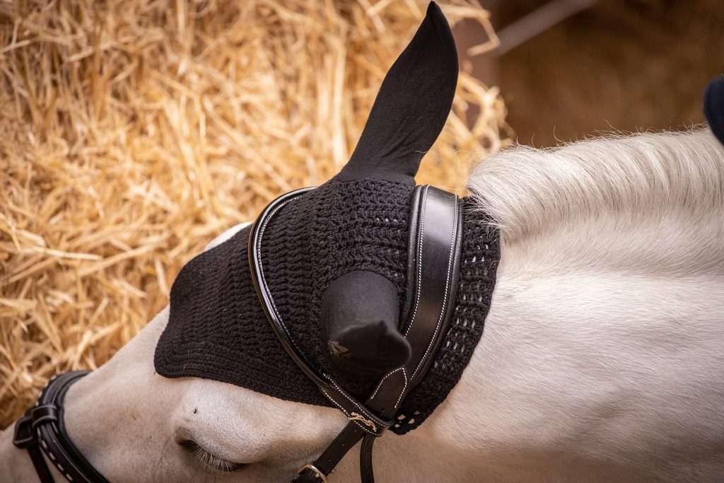 Bonnet Pro Cotton - PADDOCK - vue 2