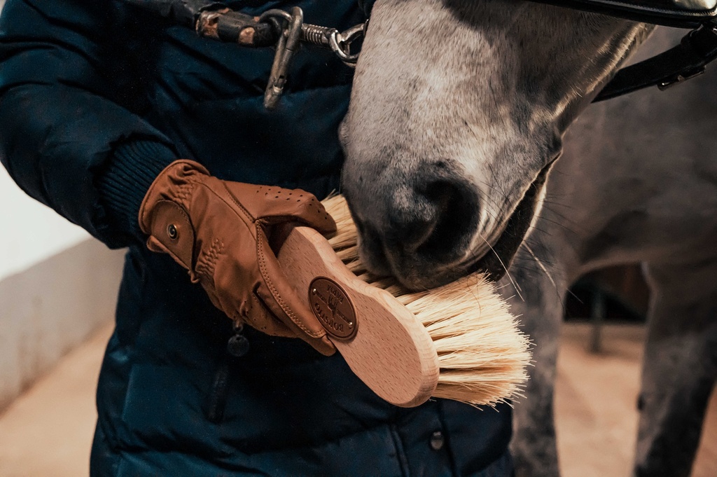 Brosse Infini BORSTIQ - Cactus/crins - vue 1