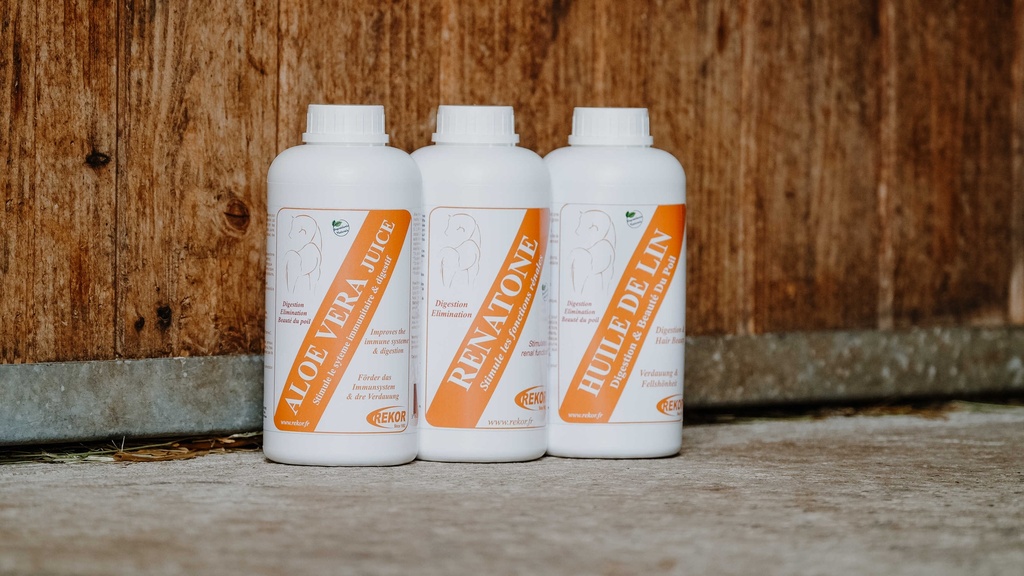 REKOR complementary food - Aloe Verajus