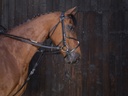 Rênes de gogue cuir RIDING WORLD