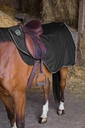 RIDING WORLD Couvre-reins imperméable, doublé polaire
