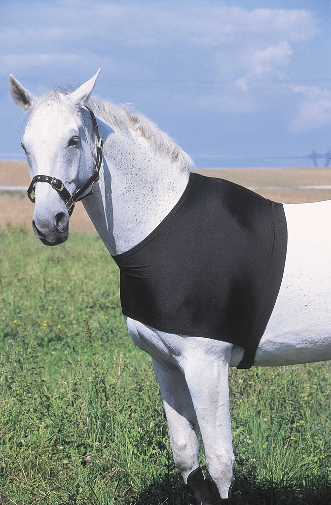 Protection d'épaules EQUITHÈME