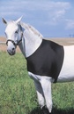 Protection d'épaules EQUITHÈME