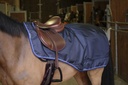 EQUITHEME kidney couverture - TYREX 1680D - Coolmax lined