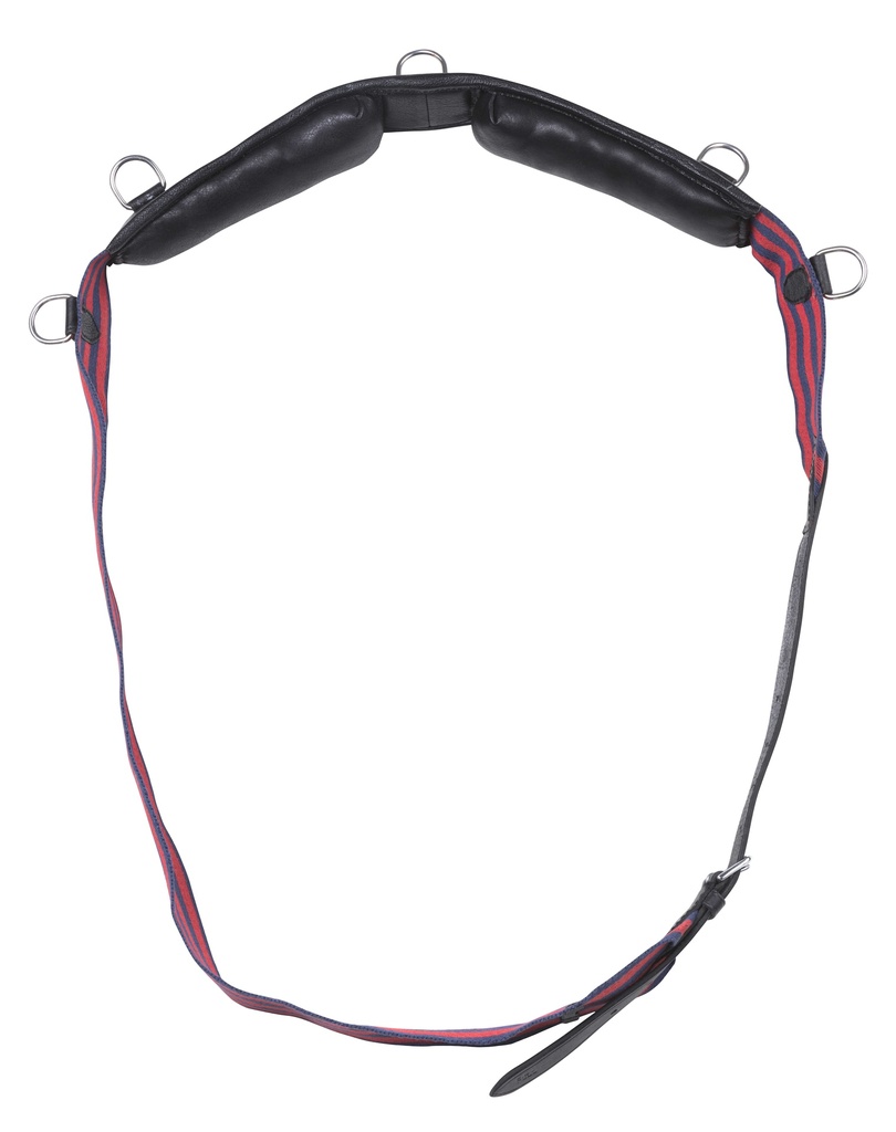 Strap surfacing NORTON CLUB