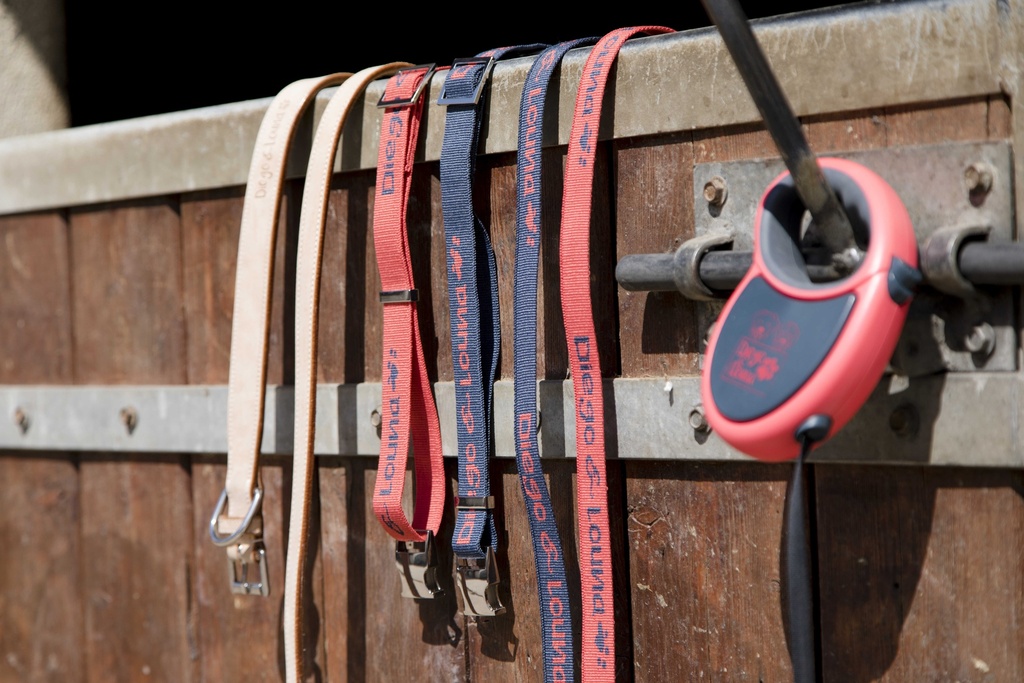 DIEGO & LOUNA cuir leash
