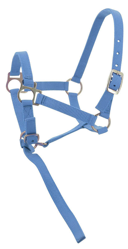 Foal licol + NORTON lanyard