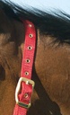 EQUITHÈME Licol - Nylon