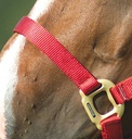 EQUITHÈME Licol - Nylon