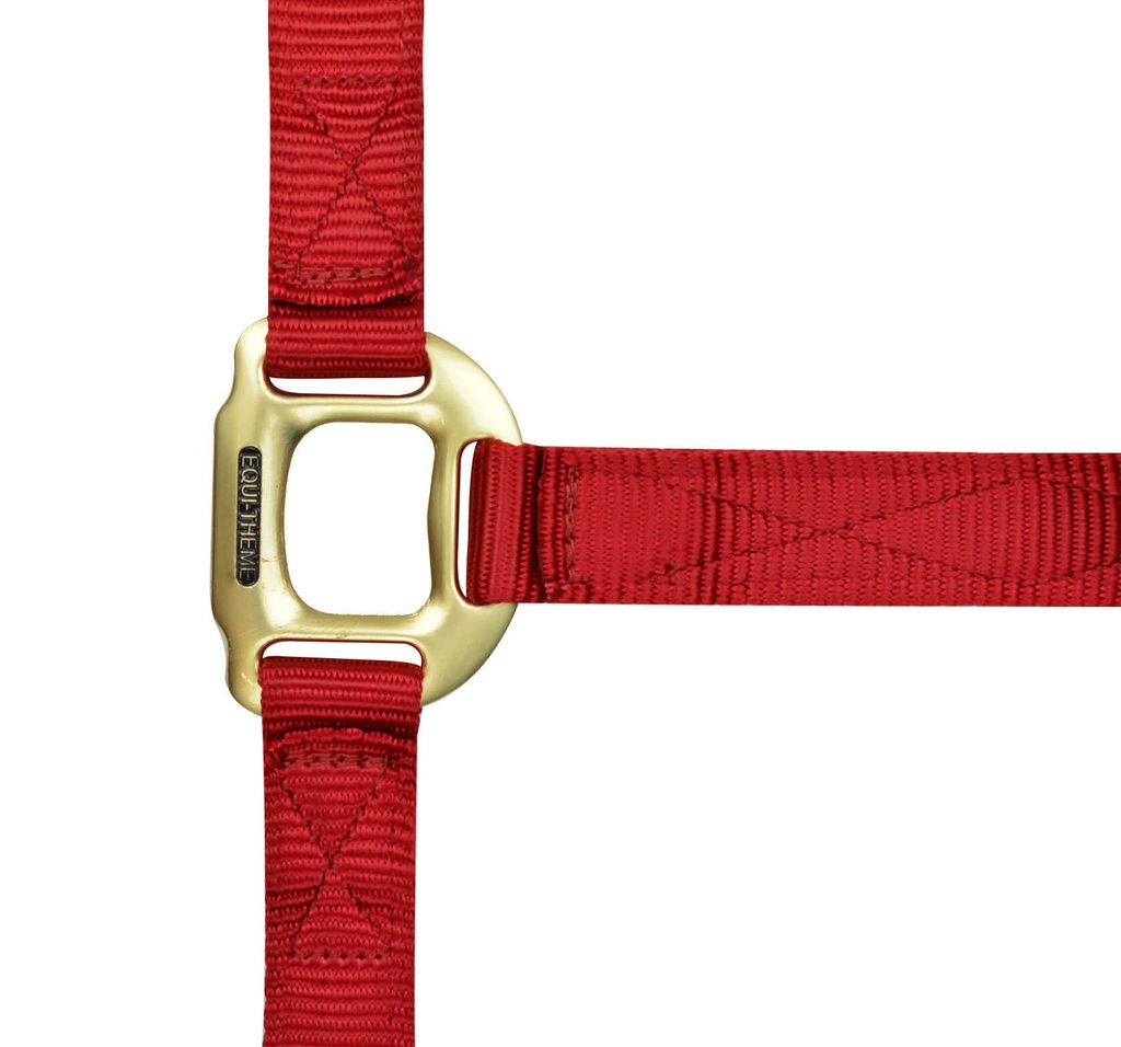 EQUITHÈME Licol - Nylon
