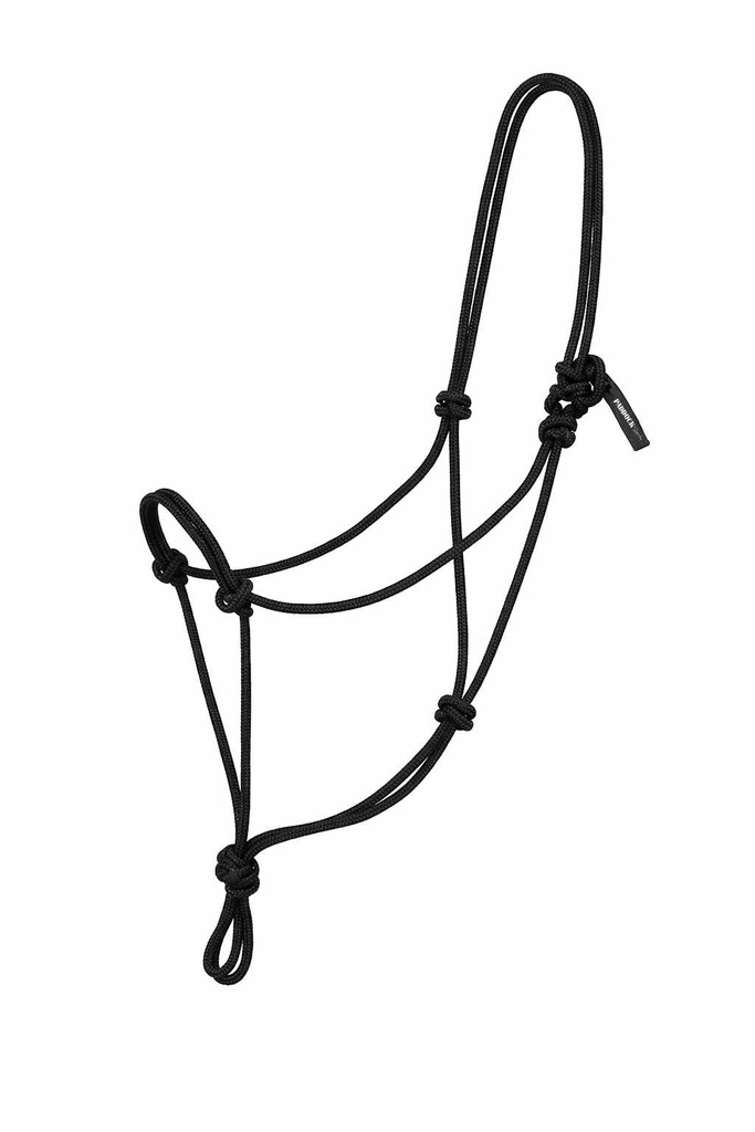 Ethological licol - PADDOCK