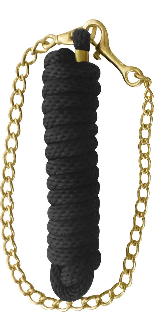 NORTON presentation lanyard - Color