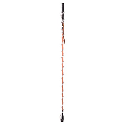 Carrot Stick