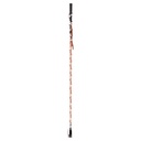 Carrot Stick