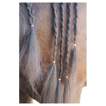 Magic braids, Transparent