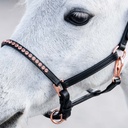 Licol en Cuir Noir Poney/Poulain Crystal Rosegold, vue supplémentaire montrant le coloris et les détails du produit