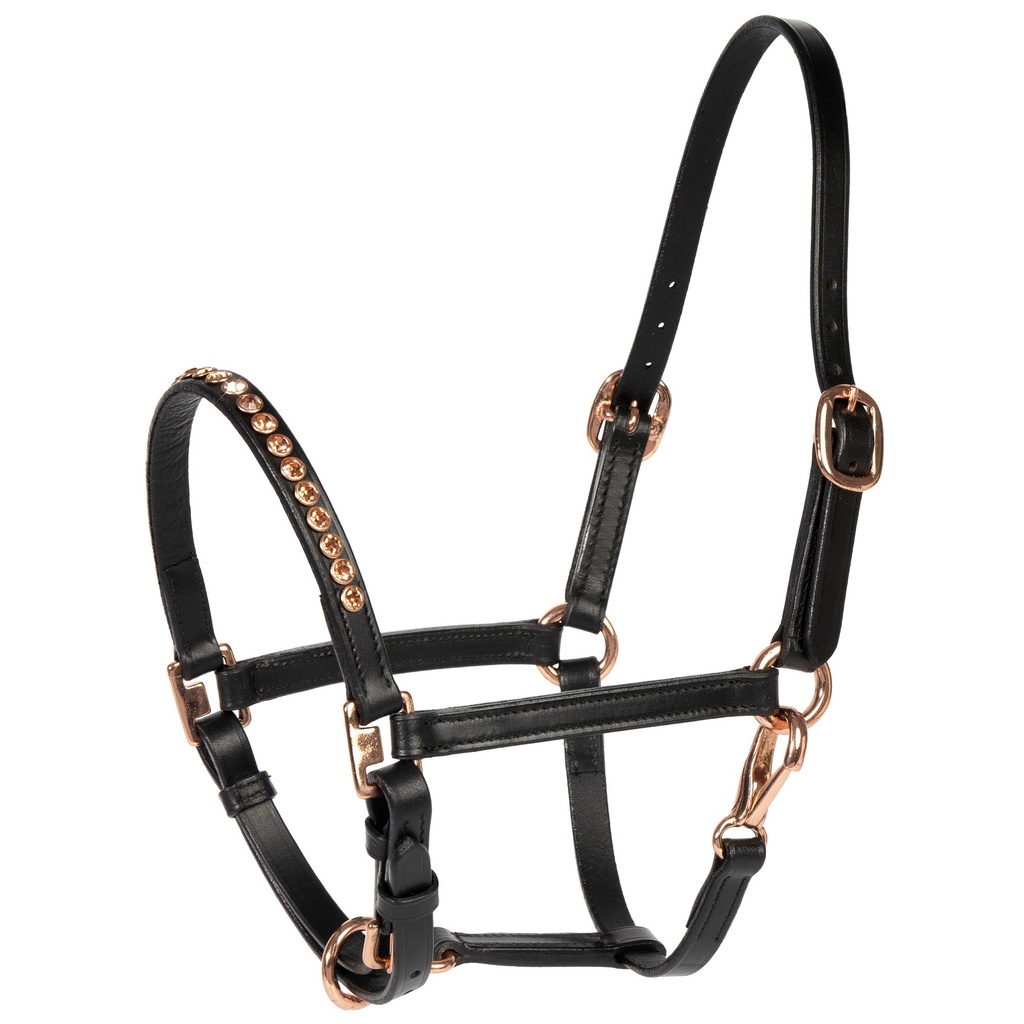 Licol en Cuir Noir Poney/Poulain Crystal Rosegold, vue supplémentaire montrant le coloris et les détails du produit