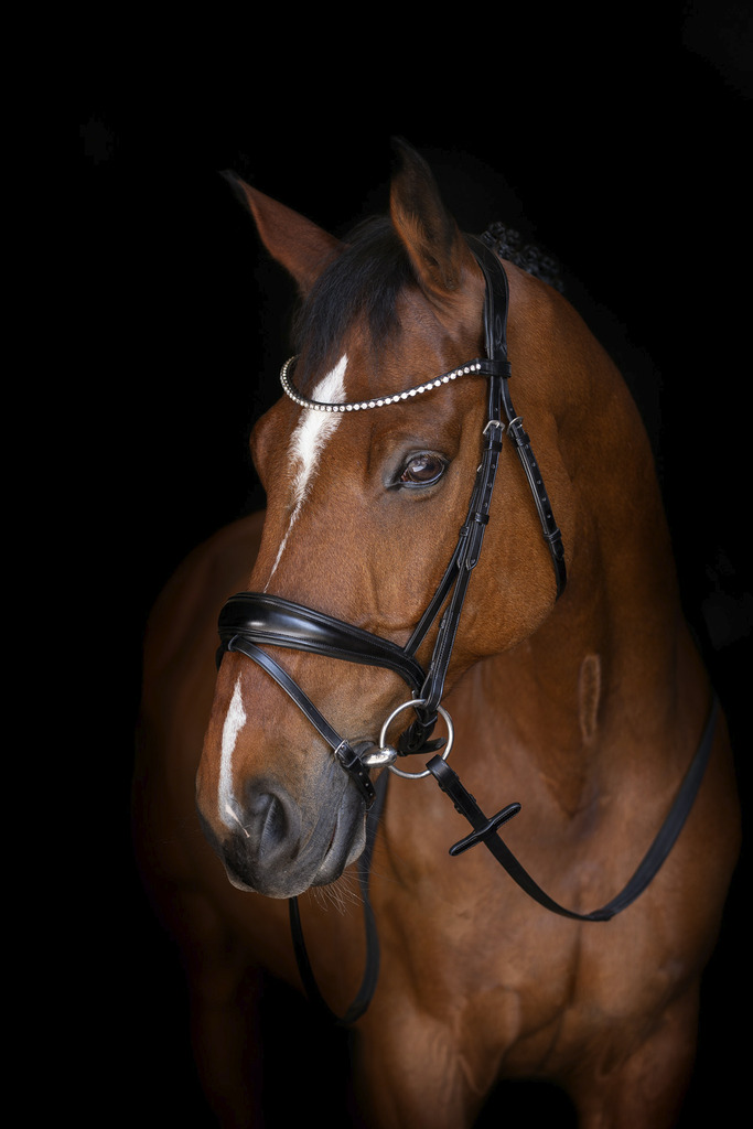 Rênes caoutchouc ERIC THOMAS ELITE, petits picots