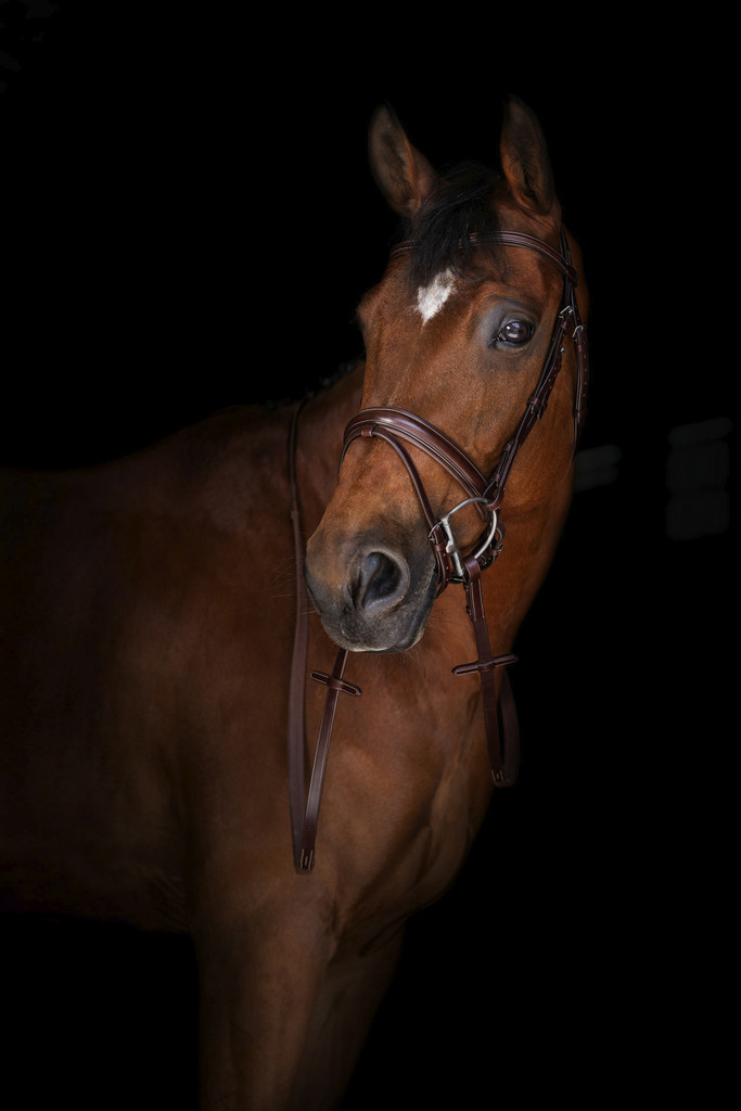 Rênes caoutchouc ERIC THOMAS ELITE, petits picots