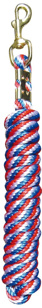 Longe Mousqueton Dorée 3m