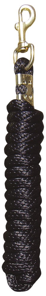 Longe Mousqueton Dorée 3m