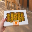 Coffret 5 Eclairs Parasites, coffret bio EquiNatBio, vue du produit sous emballage