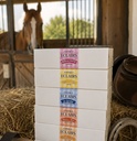 Coffret 5 Eclairs Parasites, coffret bio EquiNatBio, packaging vu de dos avec informations produit