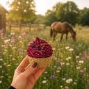 CUPCAKEBIO-SÉRÉNITÉ, cupcake bio EquiNatBio, vue du produit sous emballage