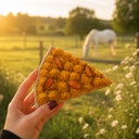 TARTEBIO-PARASITES, tarte bio EquiNatBio, vue du produit sous emballage
