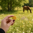 EQUIBIO-PARASITES, sachet de friandises bio EquiNatBio, vue du produit sous emballage