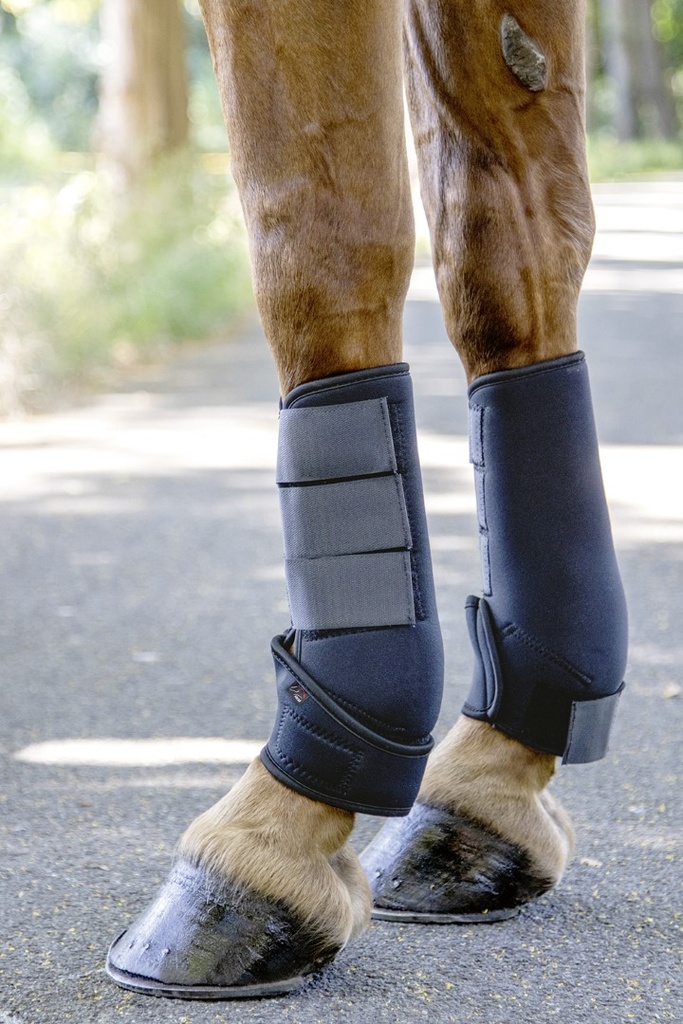 Guêtres softoprène HKM portées sur les postérieurs du cheval