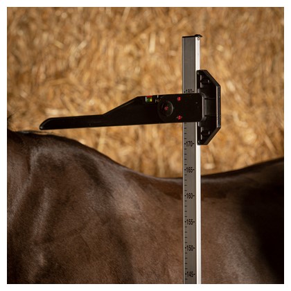 Toise en aluminium et PVC Unite de mesure en inch.et cm