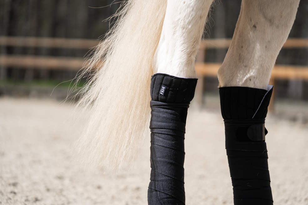 Sous-bandes pad rembourrage mousse, lot complet avec grande et petite taille