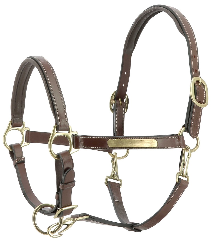 Licol cuir ERIC THOMAS “Pro”, vue 2