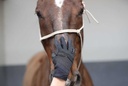 Gants d'entrainement RACER® "Evolution", vue 5