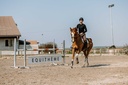 PRO SERIES T-shirt - Canter, vue 7