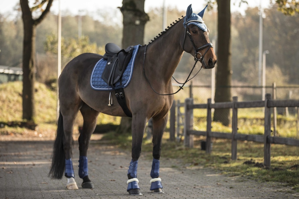 Guêtres de dressage LAMI-CELL - LC, vue 50