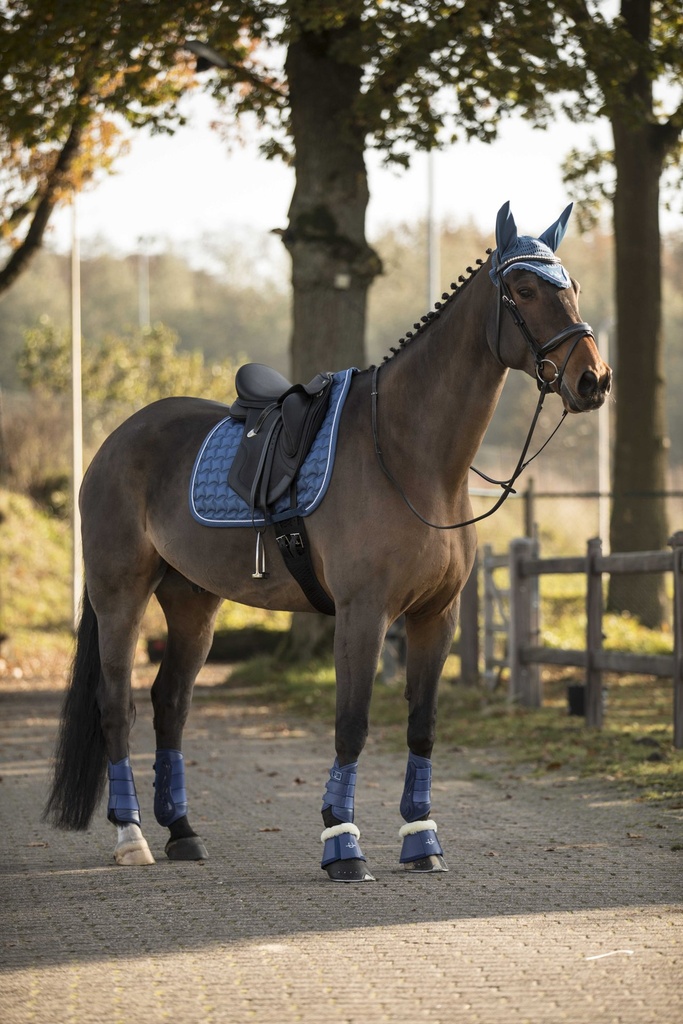 Guêtres de dressage LAMI-CELL - LC, vue 51