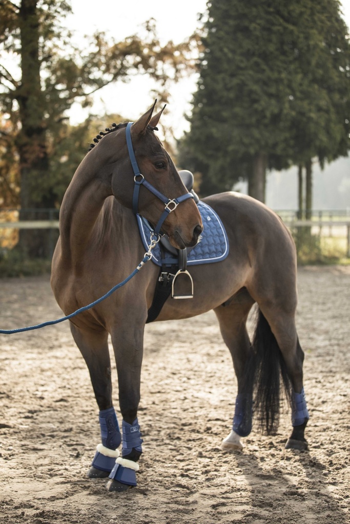 Guêtres de dressage LAMI-CELL - LC, vue 53