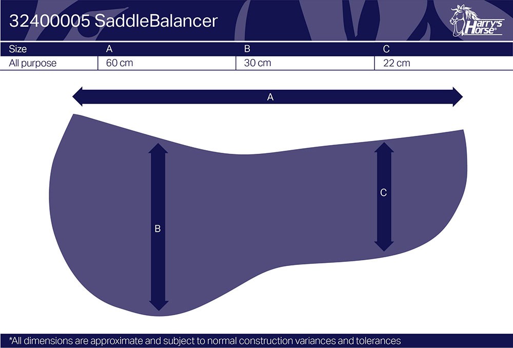 Amortisseur SaddleBalancer