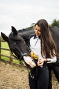 STUD MUFFINS cheval friandises, vue 4