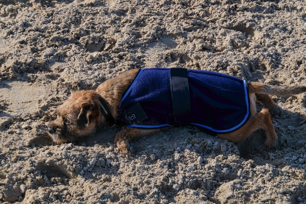 RIDING WORLD Manteau pour chien - Polaire, vue 11