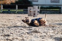 RIDING WORLD Manteau pour chien - Polaire, vue 12