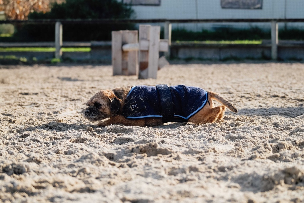 RIDING WORLD Manteau pour chien - Polaire, vue 13